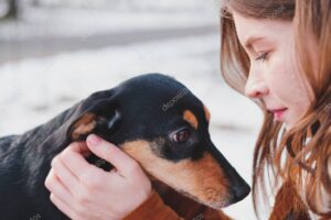 Yaşlanan Köpeğiniz için Bakım Rehberi