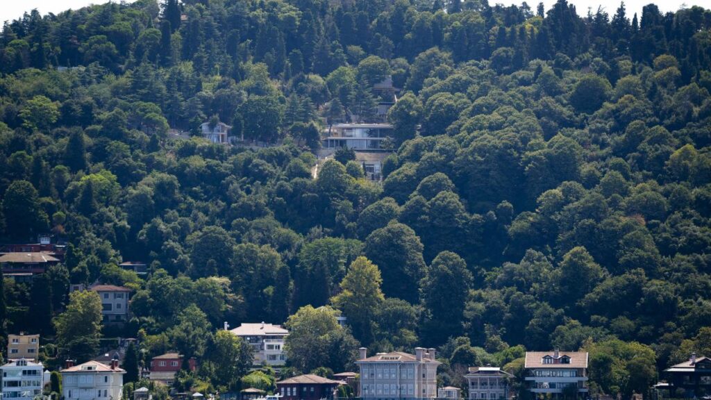 Bakanlıktan Vaniköy’deki kaçak inşaat ile ilgili suç duyurusu