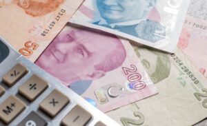 Ekonomist Dr. Burcu Aydın Özüdoğru: Para politikası nereye kadar?