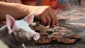 CHP Kocaeli Milletvekili Prof. Dr. Kanko: Devletin Önceliği Halkın Sağlığını Korumaktır, Büyük Firmaları Korumak Değildir! 