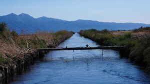 İzmir Körfezi’ne ‘nefes’ olacak eylem planı bugün açıklanacak