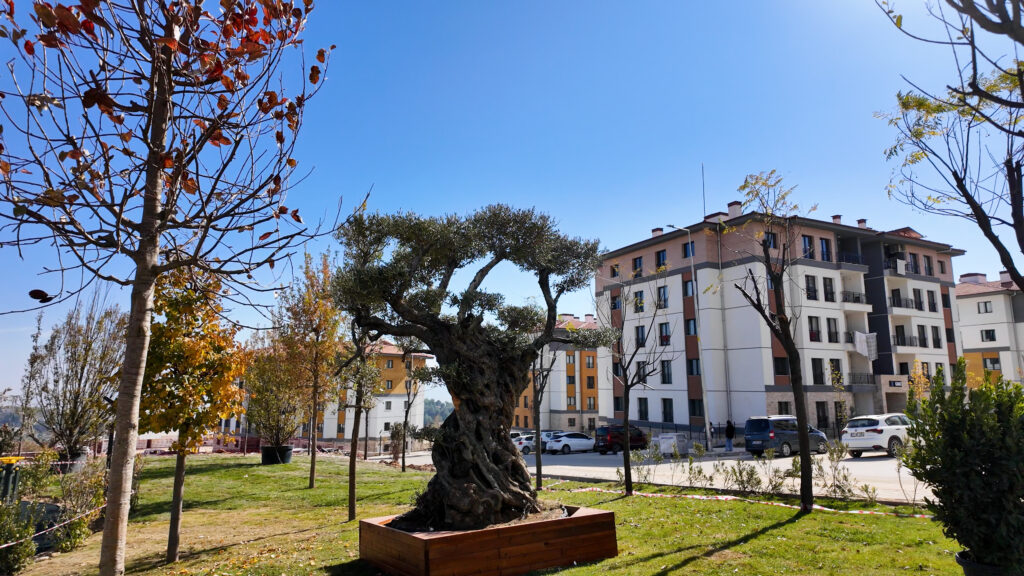 TOKİ, Hatay Gülderen’de 2 bin 681 afet konutunun yapımını tamamladı