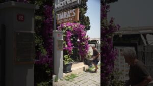 Yemek tutkusu girişimci yaptı