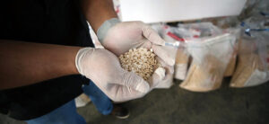 Esed’in Uyuşturucu Ticareti