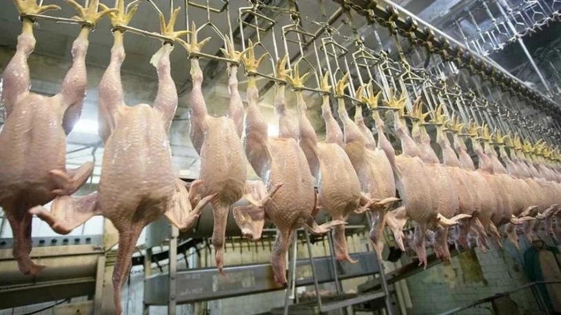 Tarım ve Orman Bakanı Yumaklı, “Türkiye’den AB ülkelerine kanatlı eti ihraç edilecek”