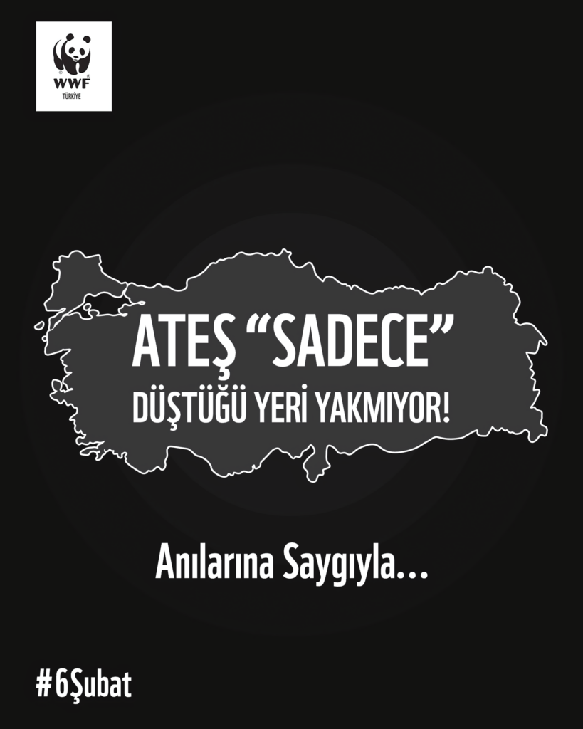 WWF-Türkiye’den Şubat depremlerinin ikinci yılında değerlendirme: “Sadece düştüğü yeri yakmıyor”