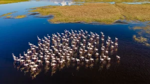 Su Politikaları Derneği’nden (SPD), 2 Şubat Dünya Sulak Alanlar Günü mesajı!