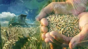 Bakan Yumaklı, “Türkiye, tarımsal hasılada Avrupa’da birinci ülke”…