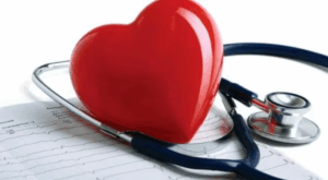 Kocaeli’deki hastanelerin sorunları TBMM Sağlık Komisyonu’na anlattı getirildi