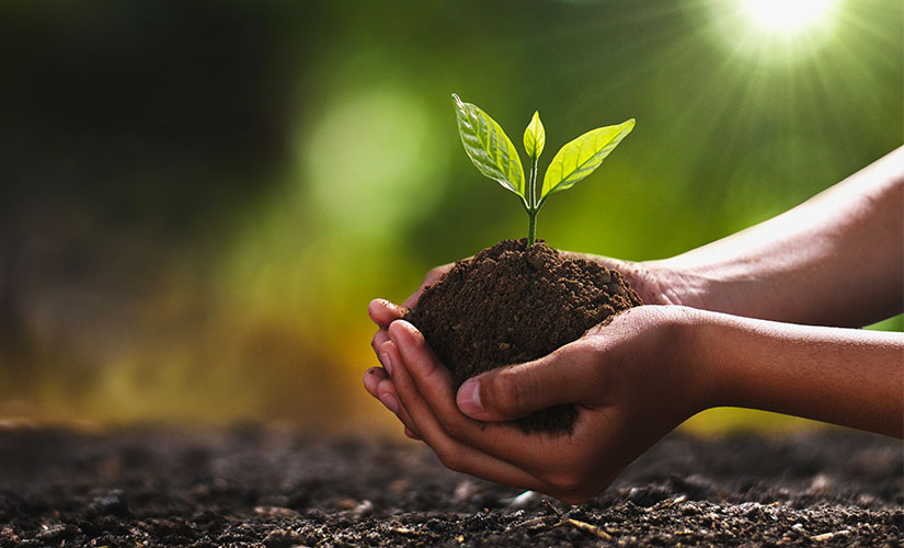 Cumhurbaşkanı Erdoğan’dan ‘Dünya Çevre Günü’ mesajı