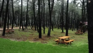 Artan yangın riski nedeniyle Adıyaman’da ormanlara giriş ikinci bir duyuruya kadar yasaklandı.