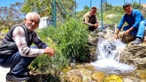 Antalya Büyükşehir Belediyesi’nin tarımsal sulama projeleriyle atıl vaziyette bulunan tarım arazileri suyla buluştu…