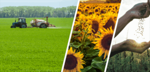 Tarım ve Orman Bakanlığı tarafından sağlanan tarımsal destek ödemeleri hesaplara aktarıldı