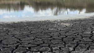 Su Kaynaklarının Sermaye Gruplarının Eline Geçmesi Sorunu