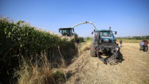 2026 üretim yılı Çiftçi Kayıt Sistemi (ÇKS) başvuruları 31 Aralık’ta sona erecek