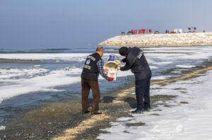 Van Büyükşehir Belediyesi soğuk günlerde yiyecek bulmakta zorlanan kuşlar için doğaya yem bıraktı…