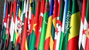 Somaliland Hakkında İslam İşbirliği Teşkilatı’ndan Acil Toplantı