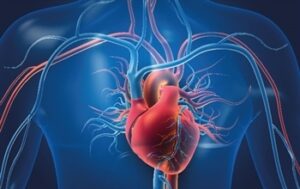 Genetik miras kader değil: Kalp hastalıklarına karşı erken önlem mümkün