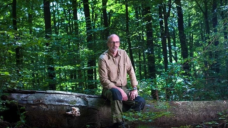 Bir Kıssa Bin Hisse : Ağaç ve İnsan